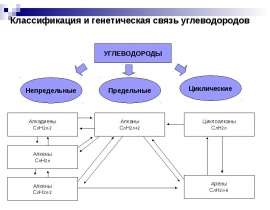 Классификация и генетическая связь углеводородов