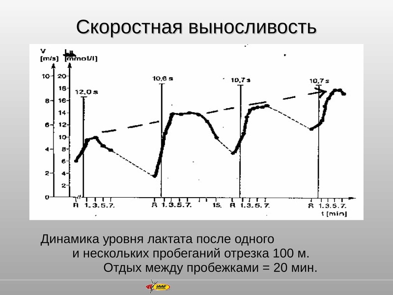 Скоростная выносливость. Показатели скоростнойтвыносливости. Динамика показателей уровня выносливости. Показатели скоростной выносливости.