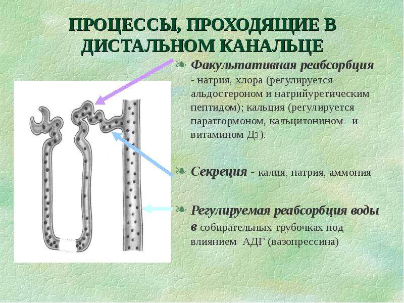 Какой процесс проходит