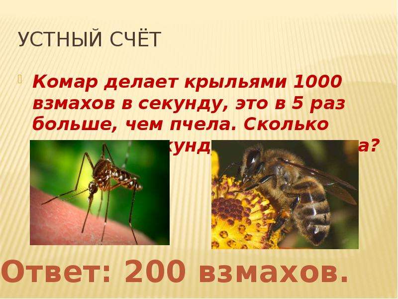 Частота колебаний крыльев. Сколько взмахов в секунду делает комар крыльями. Частота взмахов крыльев пчелы. Сколько взмахов в секунду делает пчела. Сколько взмахов крыльями делает Оса в секунду.