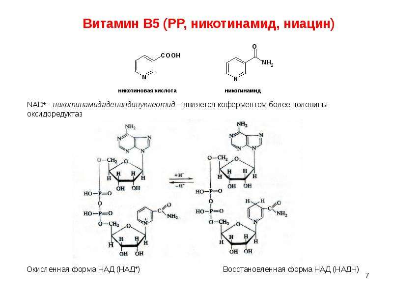 Витамин b активная форма. Витамин b5 кофермент. Активная форма витамина в5. Формула кофермента витамина в3. Активная коферментная форма витамина b3.