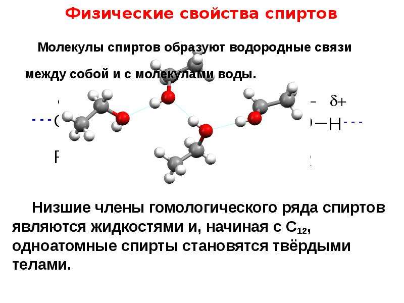 Химическое соединение спирта. Физические свойства спиртов. Физ свойства спиртов. Физ свойства одноатомных спиртов. Водородные связи между молекулами этанола.