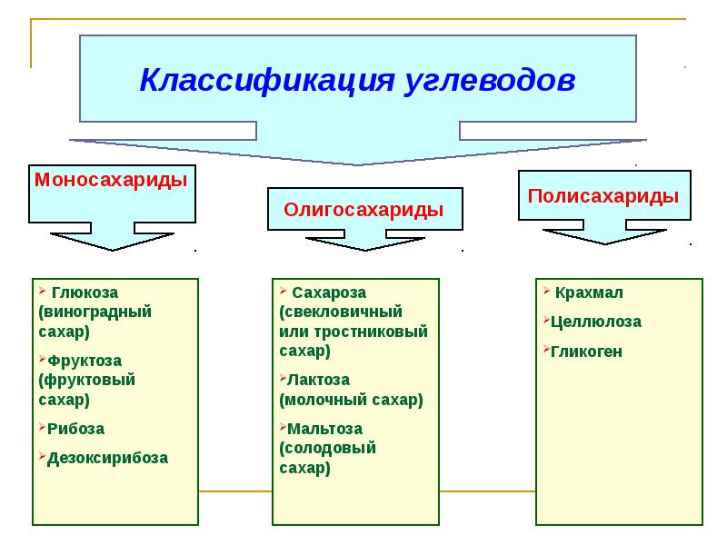 Классификация углеводов картинки