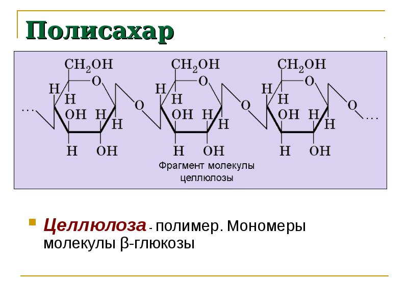 Сходства и различия крахмала и целлюлозы. Целлюлоза формула полимера. Полисахариды формула Целлюлоза. Строение полимера целлюлозы. Схема молекулы полисахарида.