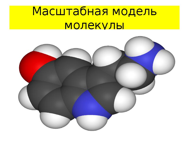 Молекула сахарозы. Масштабные модели молекул. Модель молекулы сахарозы. Масштабная молекула.