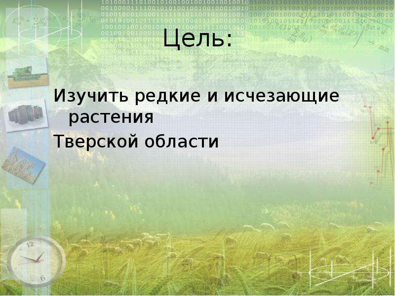 Цель: Изучить редкие и исчезающие растения Тверской области