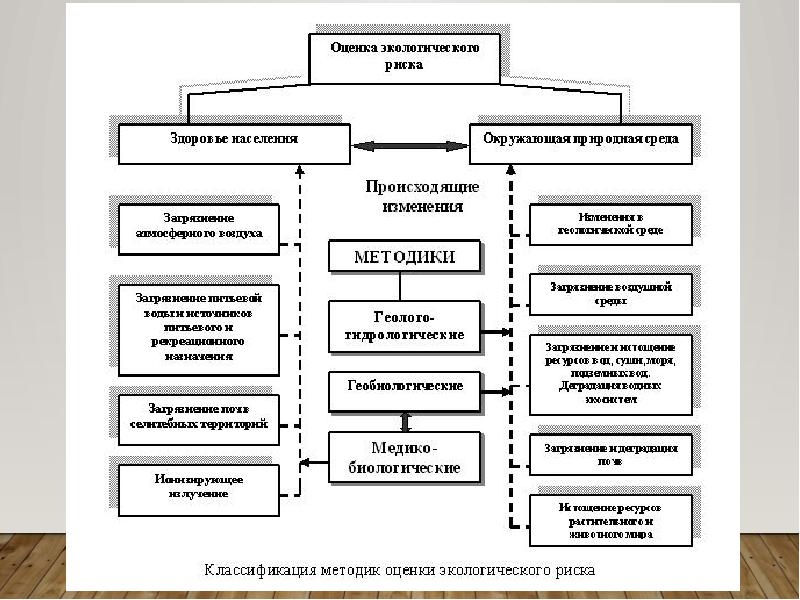 Риски экологического проекта пример