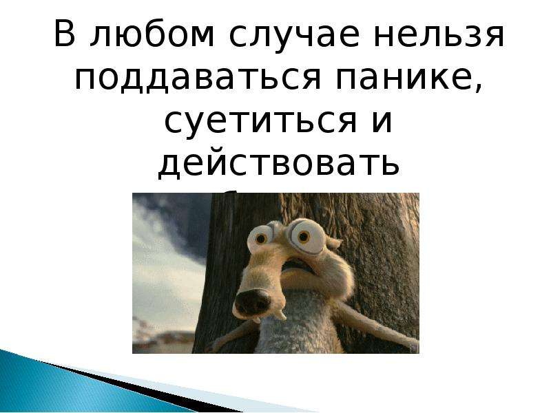 В любом случае в каждой. Нельзя поддаваться панике. Главное не поддаваться панике. В любом случае. В любом случае нельзя.