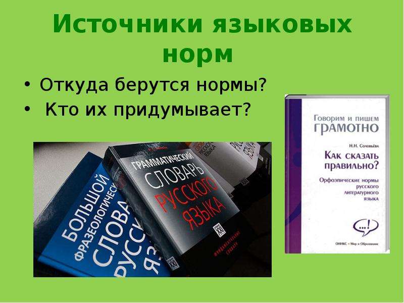 Виды языковых норм. Источники языковых норм. Откуда берутся языковые нормы. Языковые нормы это кратко. Откуда берутся нормы литературного языка.