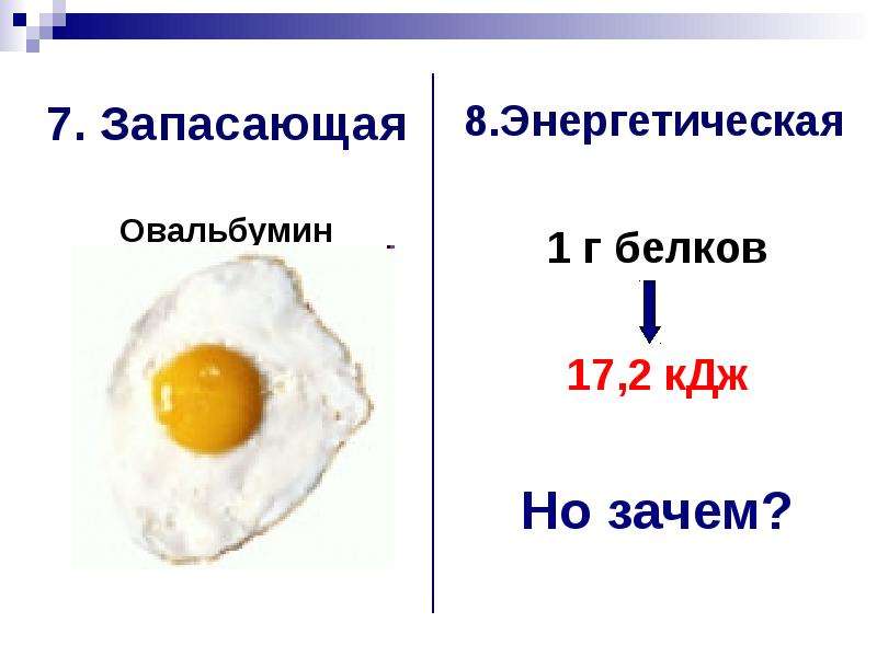 1 г белков. Запасающая функция белков. Примеры энергетических белков. Овальбумин функция. Овальбумин функция белка.