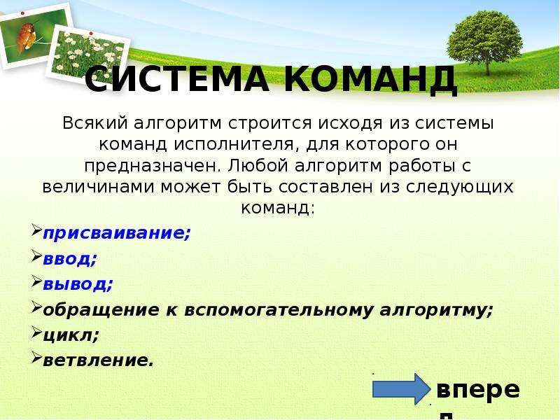 Алгоритм вывод. Алгоритмы работы с величинами. Система команд работы с величинами. Алгоритм работы в команде. Вывод презентации про алгоритм.