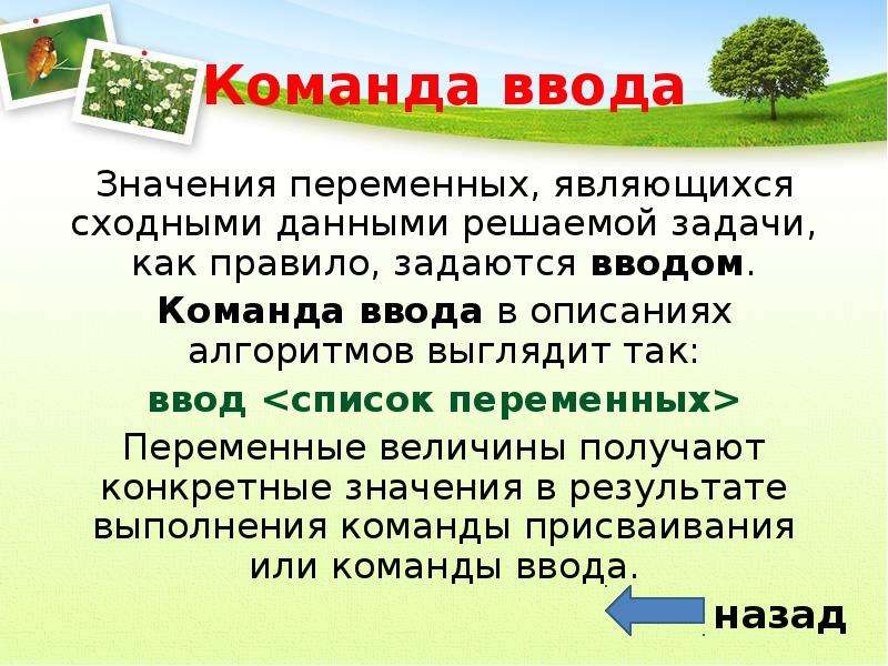 Конкретно получаем. Тема алгоритм работы с величинами кратко. Каким образом переменные величины получают конкретные значения. Данные предложения с переменными становятся.