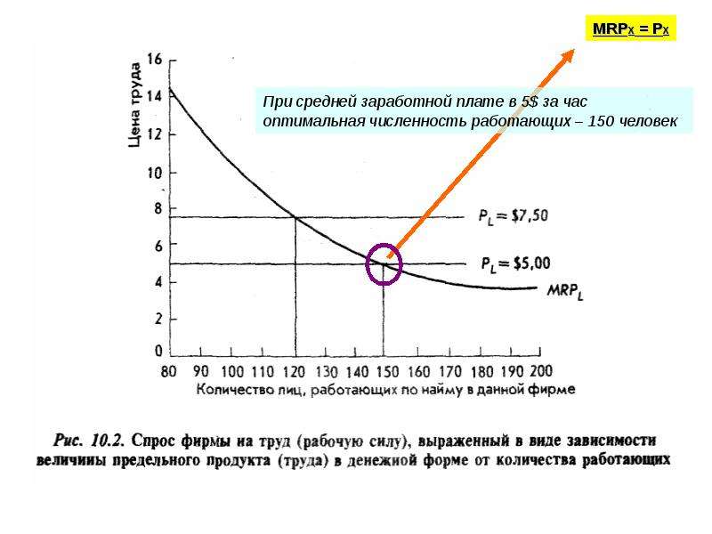 Максимальная эффективность. Оптимальная численность населения это. Оптимальная численность график. Оптимальному число mопт пар.