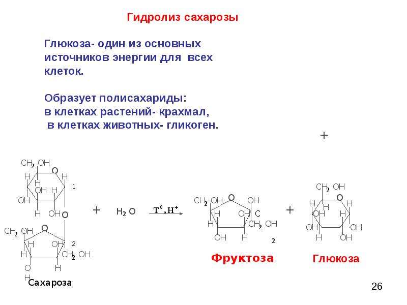 Схема гидролиза сахарозы