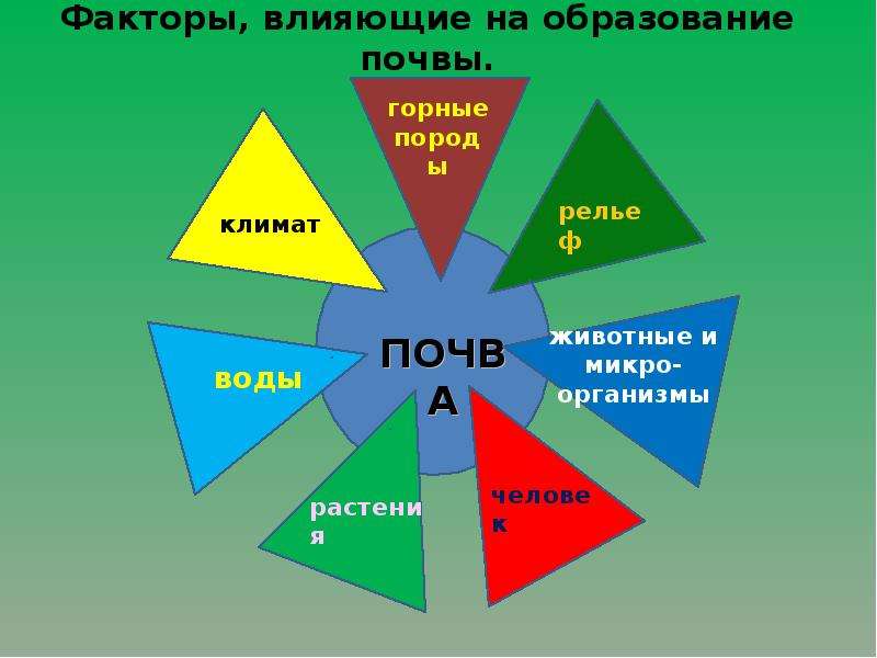 Что участвует в образовании почвы. Факторы влияющие на образование почвы. Условия образования почвы. Факторы влияющие на формирование почвы. Факторы ПОЧВАО образования.