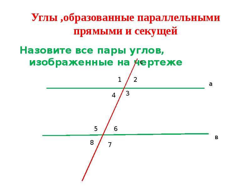 Параллельные прямые образуют угол