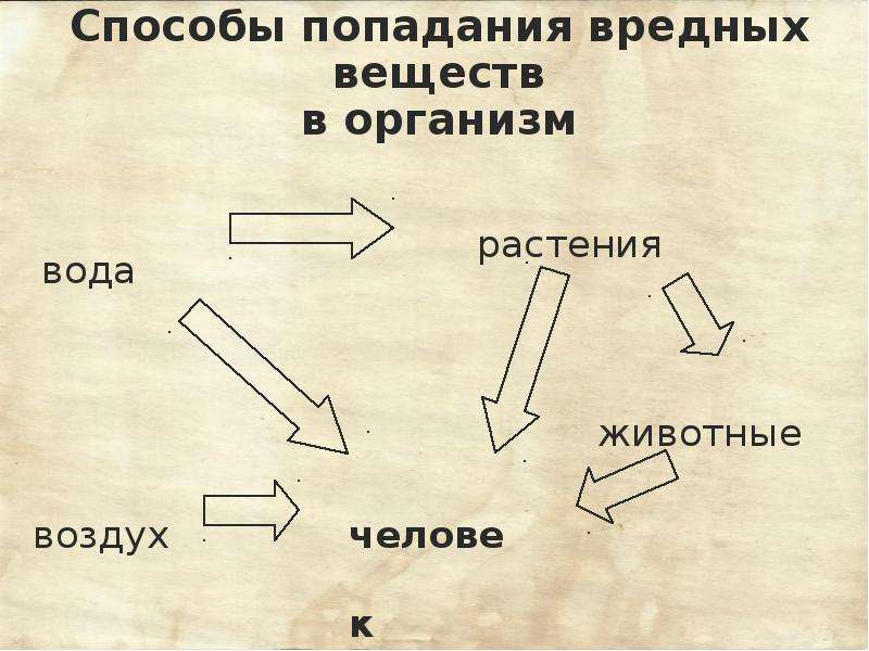 Способы попасть. Марганец пути попадания.