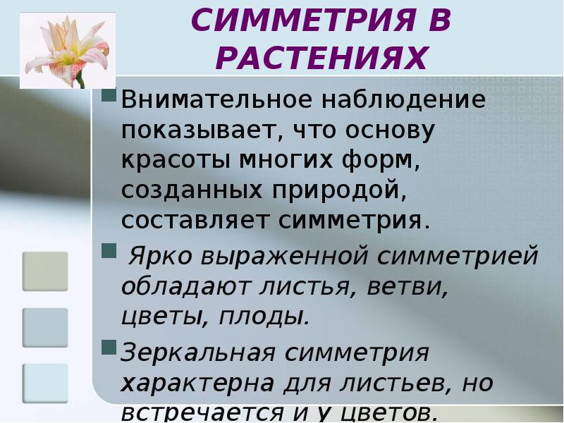 Презентации движение 9 класс. Презентация по геометрии движение. Презентация на тему движение геометрия 11 класс. Виды движения геометрия 11 класс. Геометрическое движение в природе.