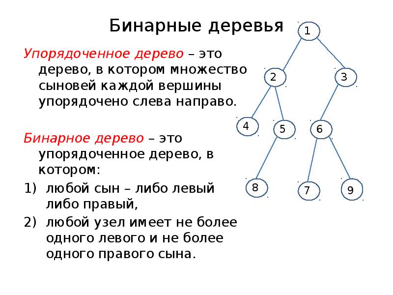 Элементы дерева графа
