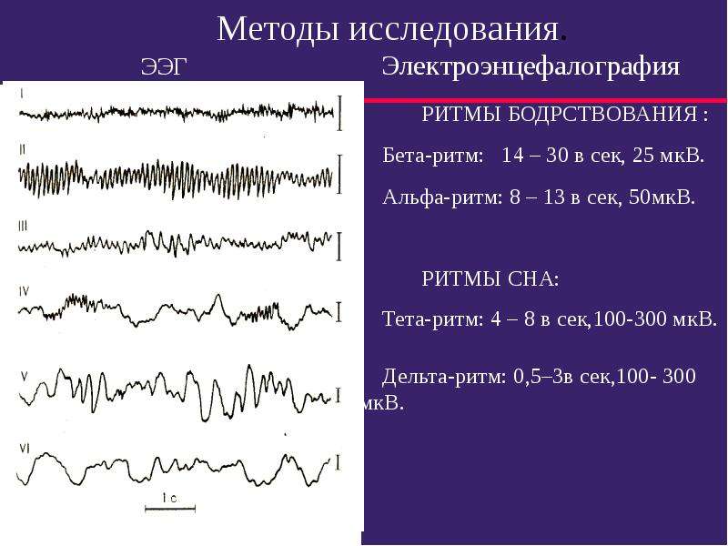 Альфа ритм. Частная физиология ЦНС презентация. Альфа ритм физиология ЦНС. Тета ритм 4 Гц 40-50 МКВ.