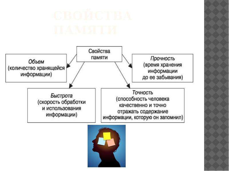 Свойства памяти. Свойства памяти объем. Свойства памяти в психологии. Свойства памяти кратко.