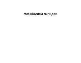 Метаболизм липидов. Характеристика липидов. Значение. Представители. Эйкозаноиды. (Лекция 1-2)