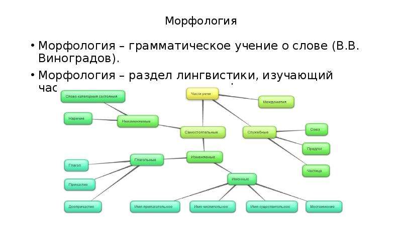 Словообразование лексикология