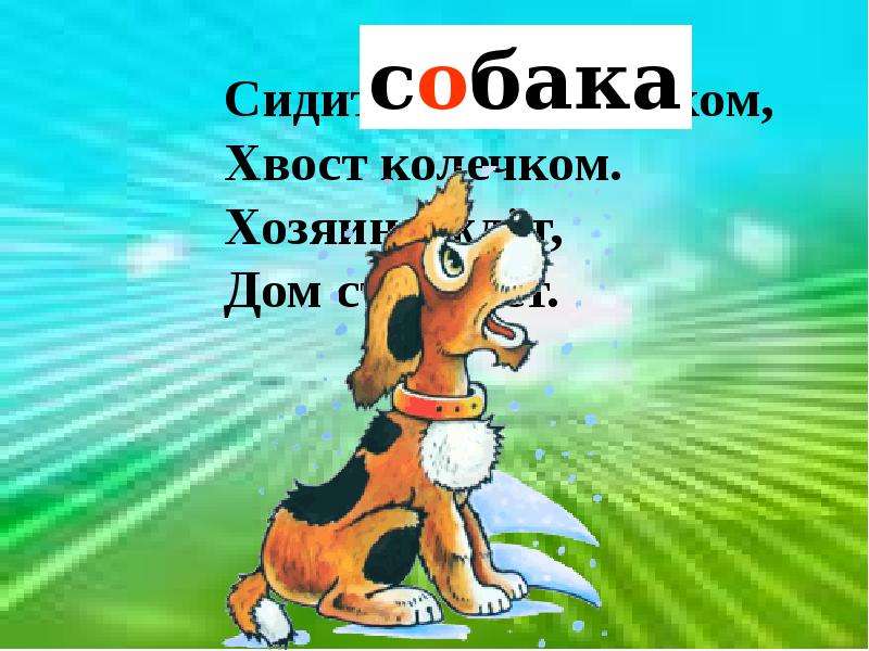 Хвостов сидит. Пёс сидит хвост колечком. Собака сидит на хвосте. Собачка и хвост Классова. Слова 1 класс хвост,.