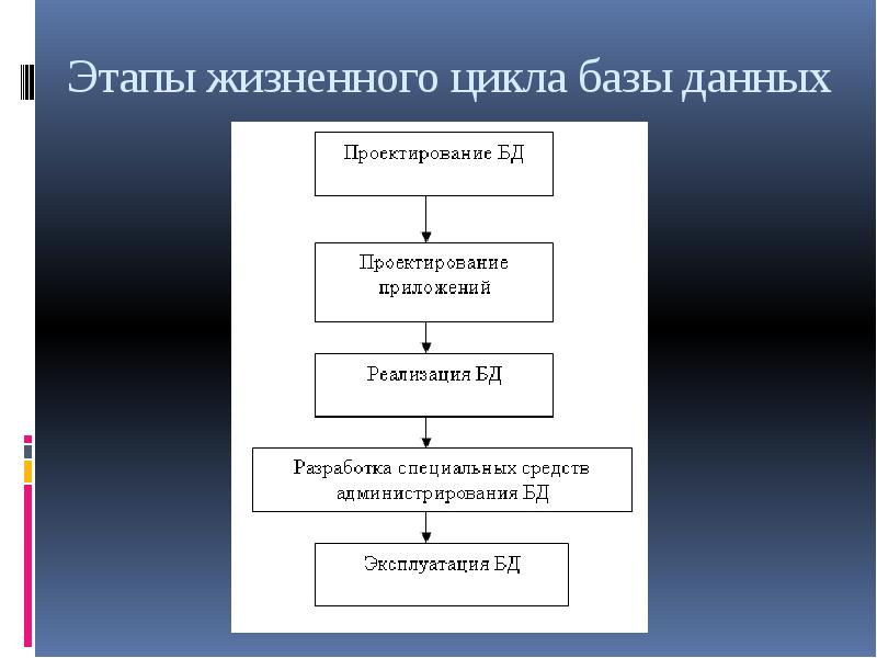 Последовательность стадий жизненного