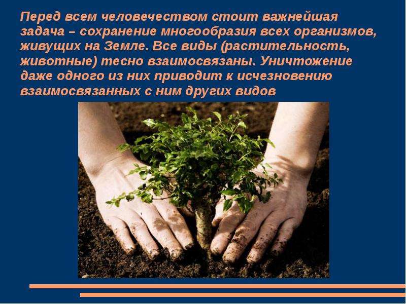 Как знания людей влияют на природу. Буклет влияние человека на природу. Влияние человека на живую природу презентация. Воздействие человека на растительность заключение. Влияние человека на кустарники.