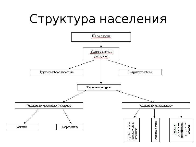 Структура населения презентация