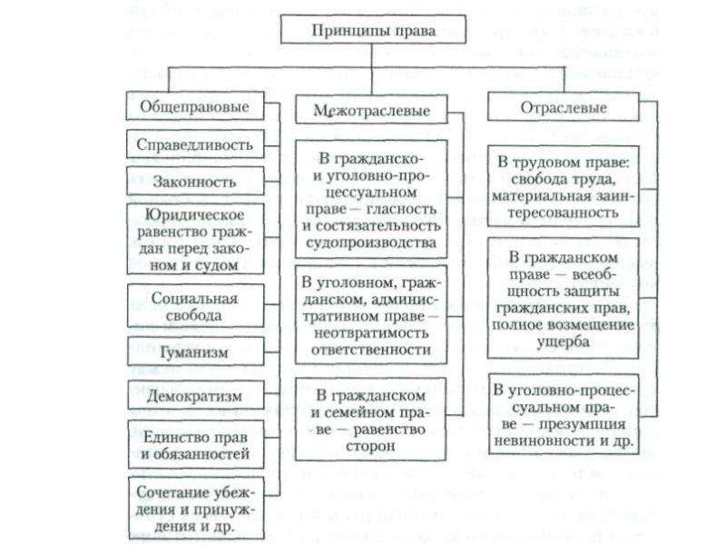 Правовой статус в праве социального обеспечения. Принципы права схема. Схема принципы трудового права РФ. Общеправовые принципы соц обеспечения. Классификация общеправовых принципов права социального обеспечения.