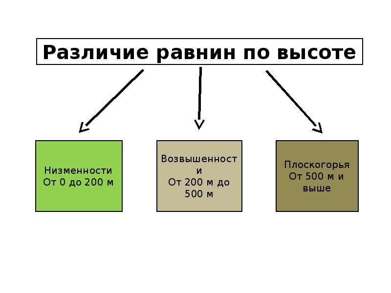 Виды низменностей. Различие равнин по высоте. Схема равнины по высоте. Типы равнин по высоте. Схема типы равнин.