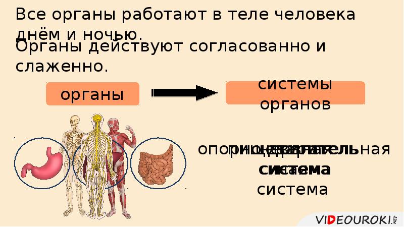 Общий обзор