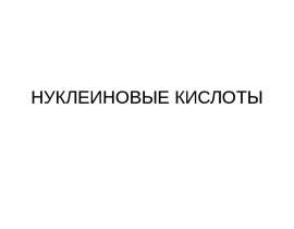 Нуклеиновые кислоты
