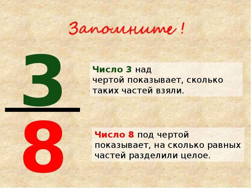 Под чертой. Число показывающее на сколько равных частей разделено целое. Число 3. Число показывающее на сколько частей разделено целое. Число которое показывает сколько равных частей взято называется.