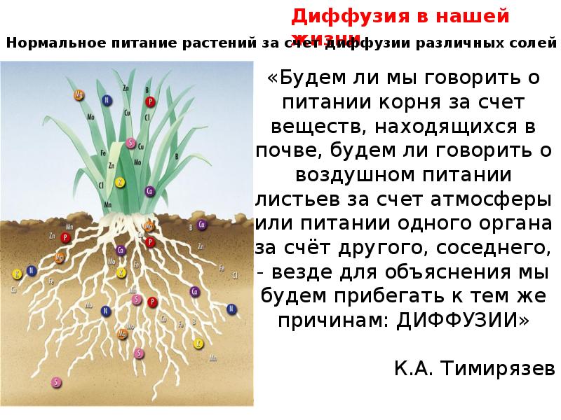 Для всех проектов характерна способность к диффузии