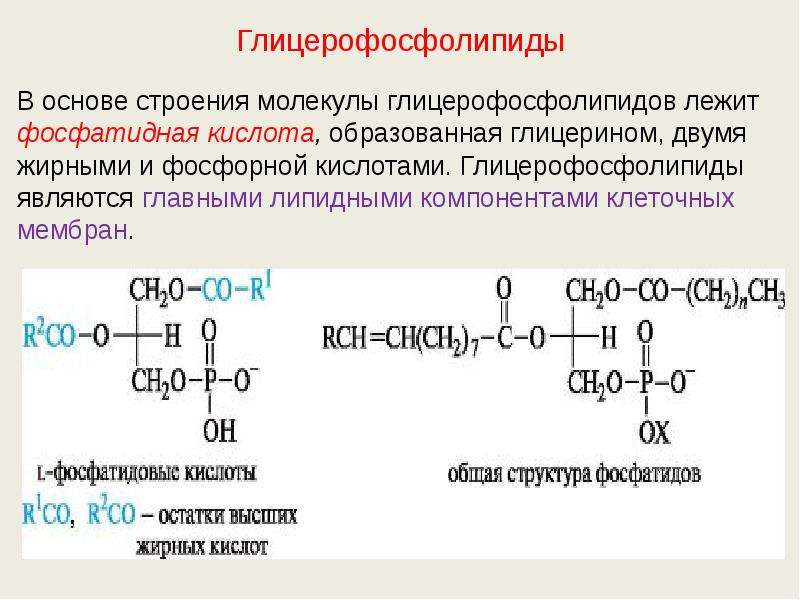 Какая кислота образуется