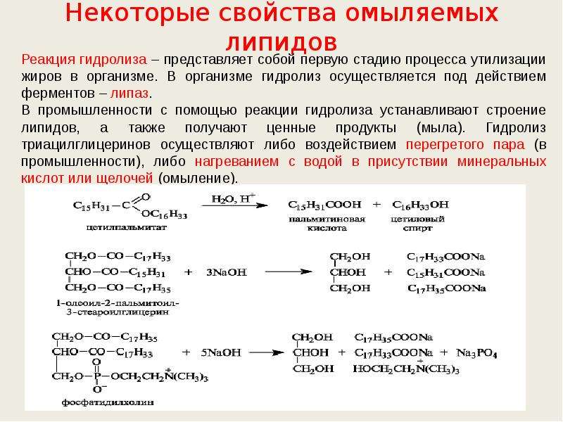 Химические реакции белков в организме. Качественные реакции на липиды. Гидролиз омыляемых липидов. Ферментативный гидролиз липидов. Гидролиз сложных липидов.