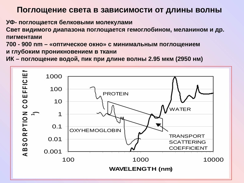 Абсорбция света. Поглощение от длины волны. Поглощение света средой. Поглощение света зависит. Поглощение света зависит от.