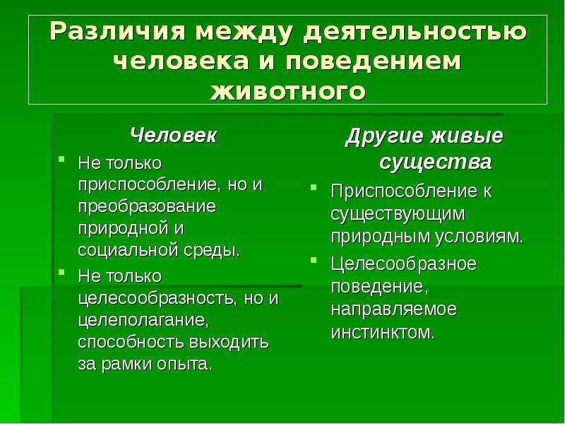 11 различий. Разница между работой и услугой.