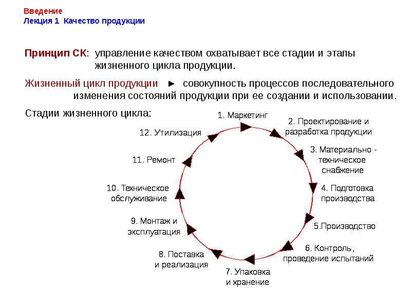 Жизненный цикл продукции схема