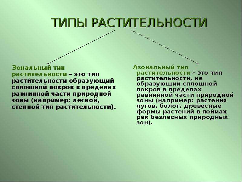 Презентация типы растительности