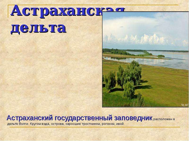 Породы русской равнины. Памятники природы русской равнины таблица. Русская равнина Дельта. Заповедники русской равнины презентация 8 класс. Дельта реки русской равнины.