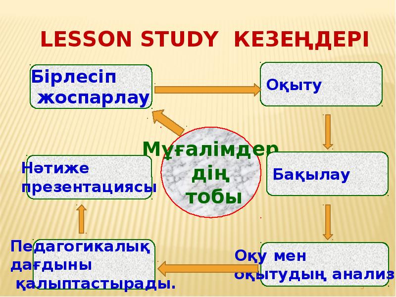 Лессон стади туралы презентация