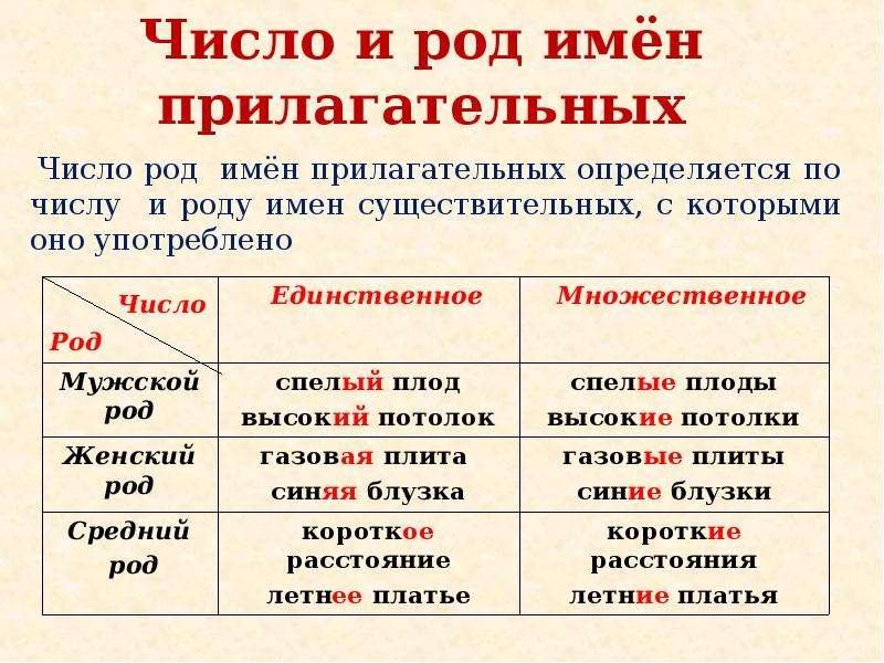 Технологическая карта по русскому языку 3 класс род имен прилагательных