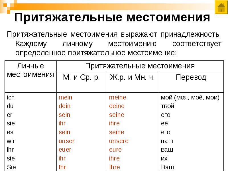 В каком предложении притяжательные местоимения. Притяжательные указательные местоимения в русском языке. Личные местоимения и притяжательные местоимения. Прттяжательны месьоим. Припритяжательное местоимение.