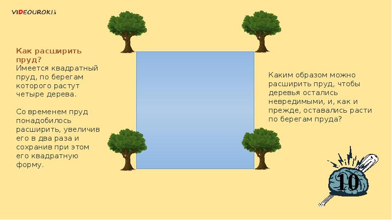 Тест 4 дерева. Задача про пруд и 4 дуба. Как расширяться дерево. Задача про пруд и деревья. По углам квадратного пруда растут 4 дерева.