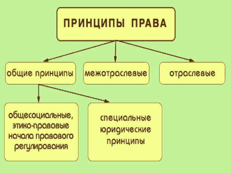 Принципы права картинки