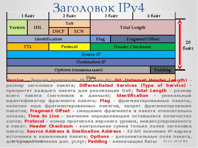 Порядок байтов. Заголовок пакета ipv4. Заголовок пакета сетевого уровня ipv4 и ipv6. Последовательность байтов.